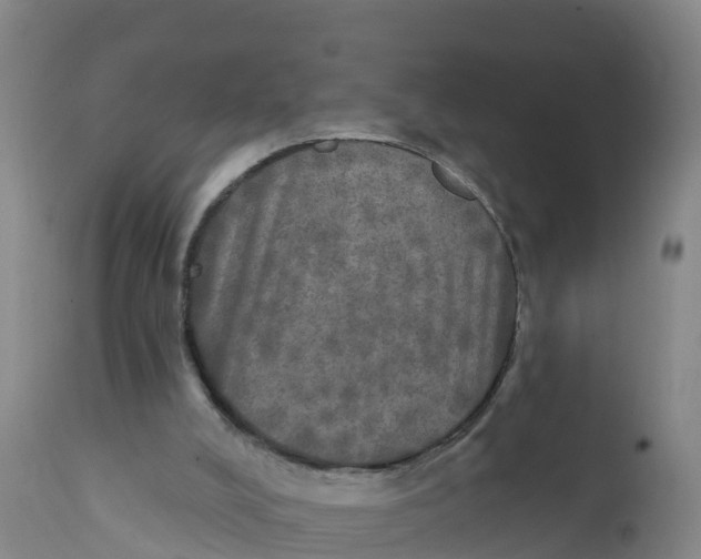 X0000111800008200908131447