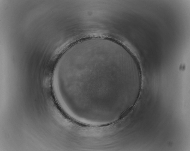X0000111800009200908131447