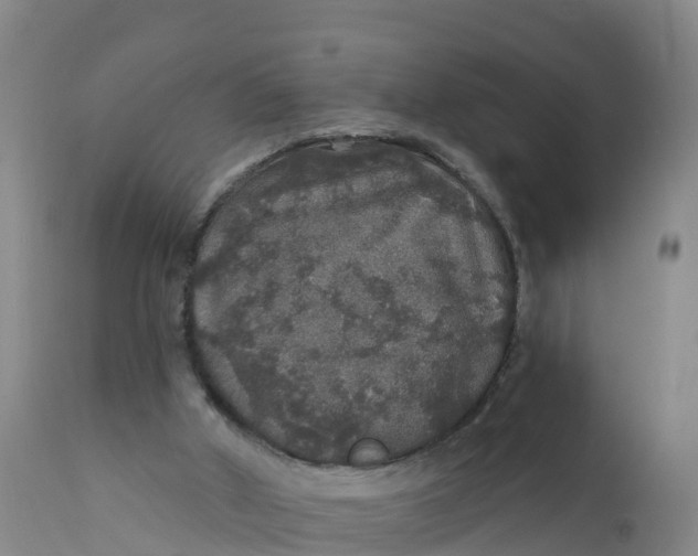 X0000111800010200908131447