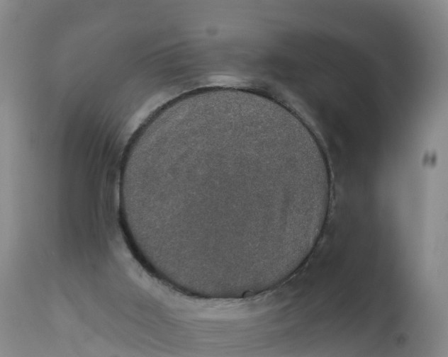 X0000111800011200908131447