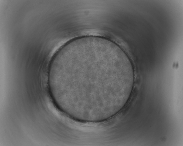 X0000111800012200908131446