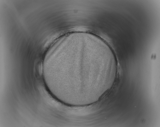 X0000111800013200908131446