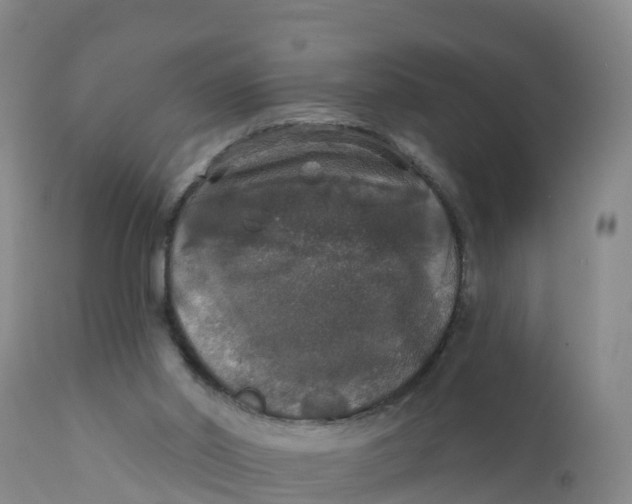 X0000111800014200908131446