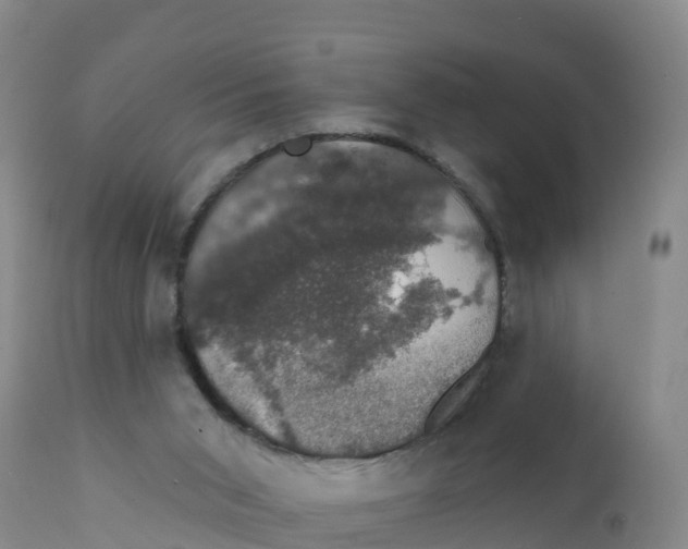 X0000111800015200908131446