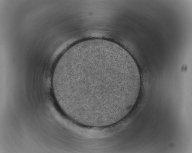 X0000111800016200908131446