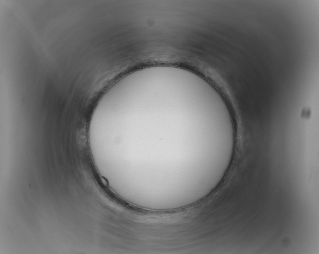 X0000111800017200908131446