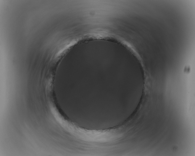 X0000111800018200908131446