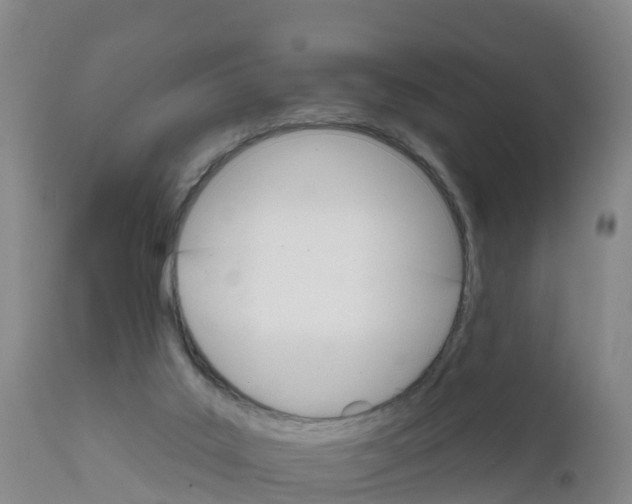 X0000111800019200908131446