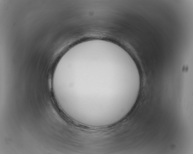 X0000111800020200908131446