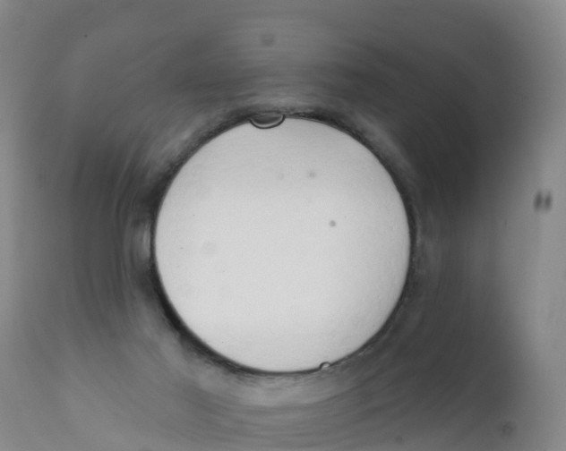 X0000111800021200908131446