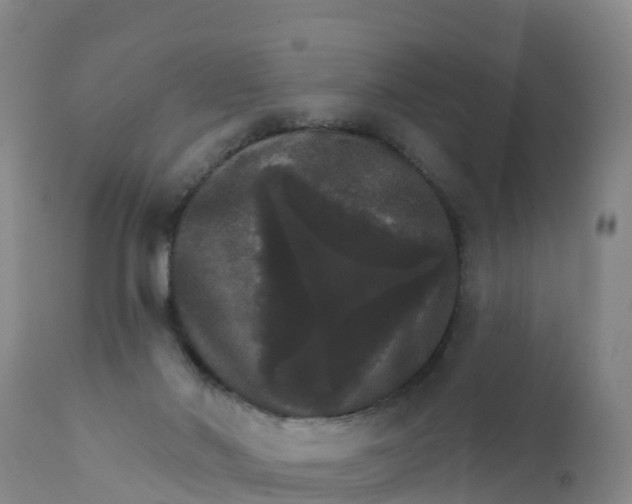 X0000111800022200908131446