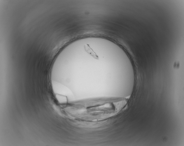 X0000111800023200908131446