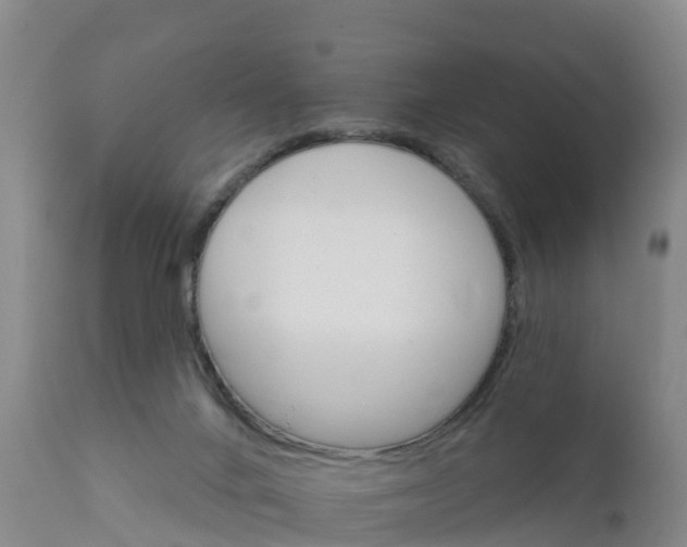X0000111800024200908131446