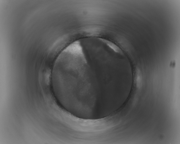 X0000111800026200908131446