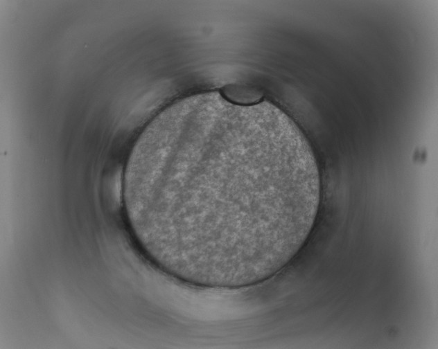 X0000111800028200908131446