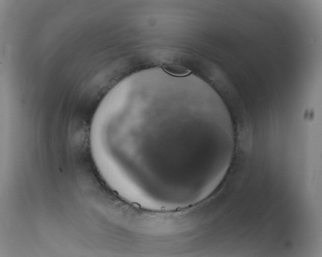 X0000111800029200908131446