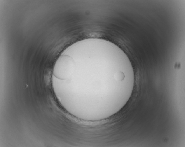 X0000111800030200908131446
