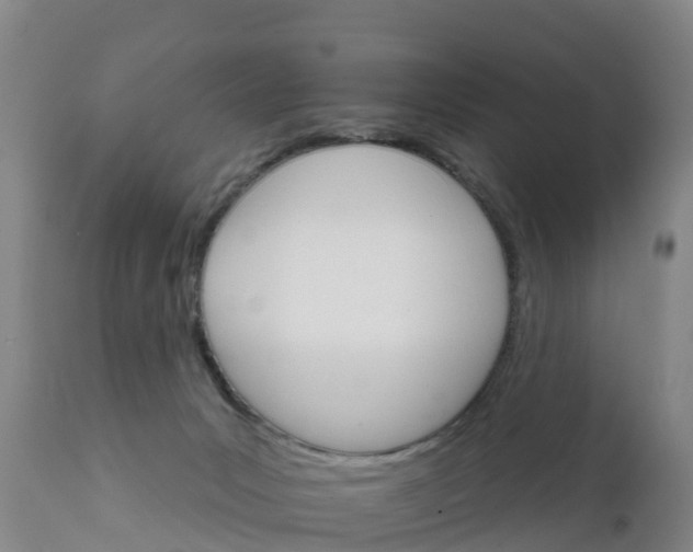 X0000111800031200908131446