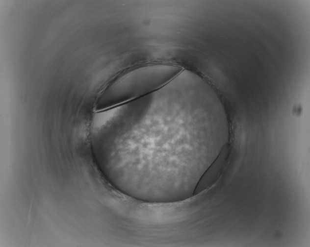 X0000111800033200908131446