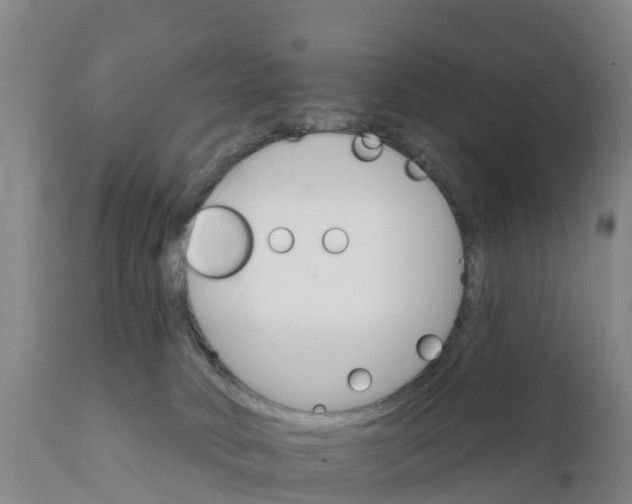 X0000111800034200908131446