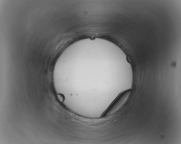 X0000111800035200908131446