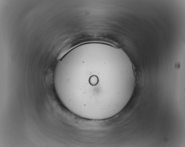 X0000111800036200908131446