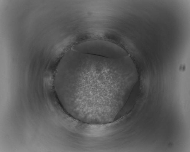 X0000111800037200908131446