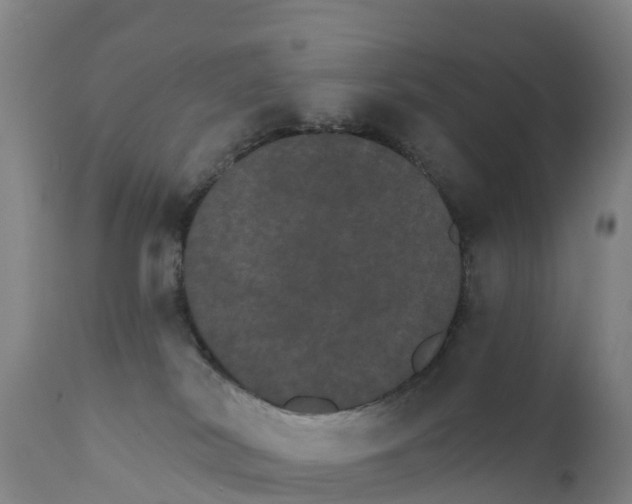 X0000111800038200908131446