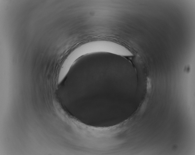 X0000111800039200908131446