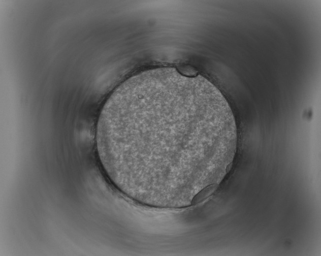 X0000111800040200908131446