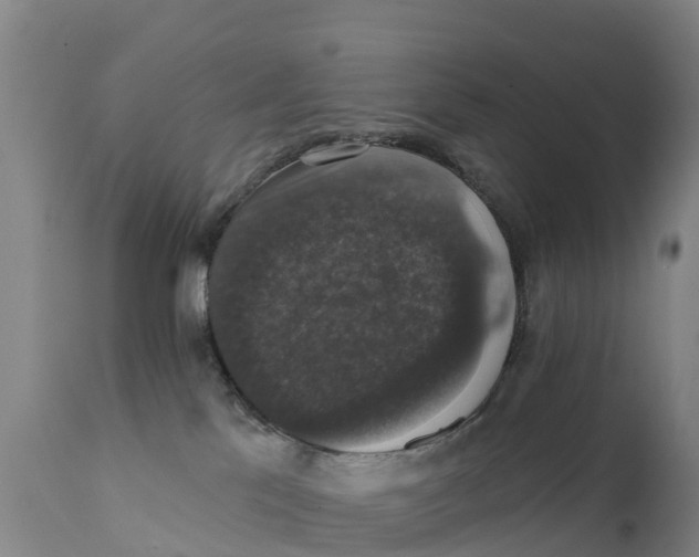 X0000111800041200908131446