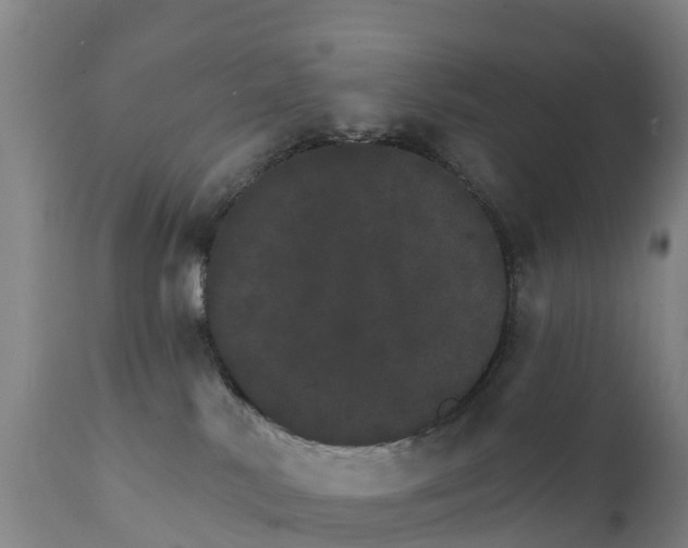 X0000111800042200908131446