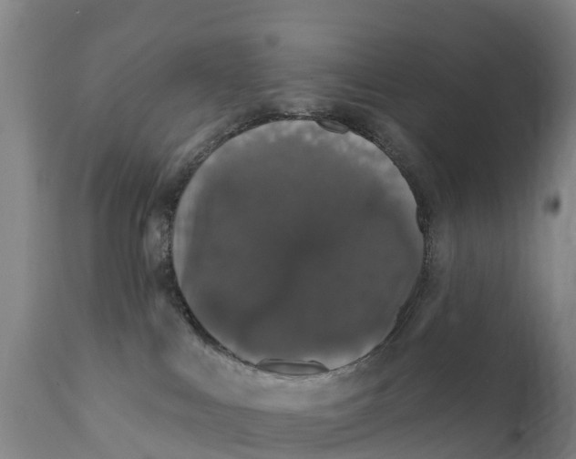 X0000111800043200908131446