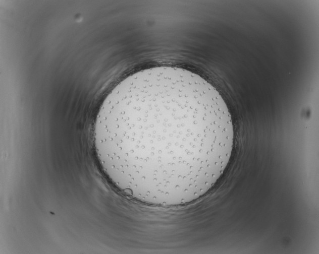 X0000111800044200908131446