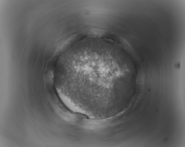 X0000111800045200908131446