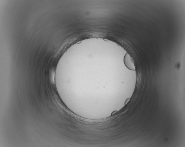 X0000111800046200908131446