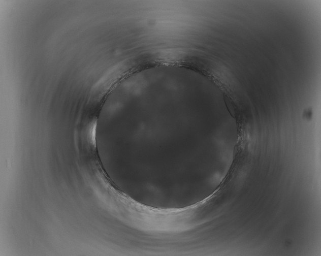X0000111800047200908131446