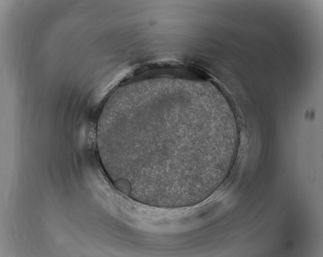 X0000111800048200908131446