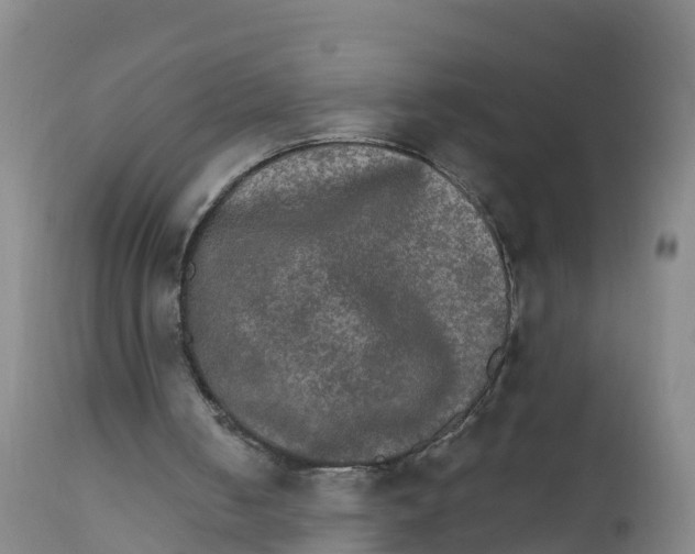 X0000111800050200908131445
