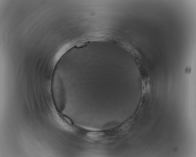 X0000111800051200908131445