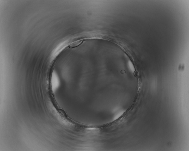 X0000111800053200908131445