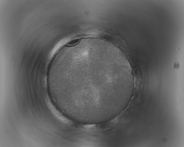 X0000111800054200908131445