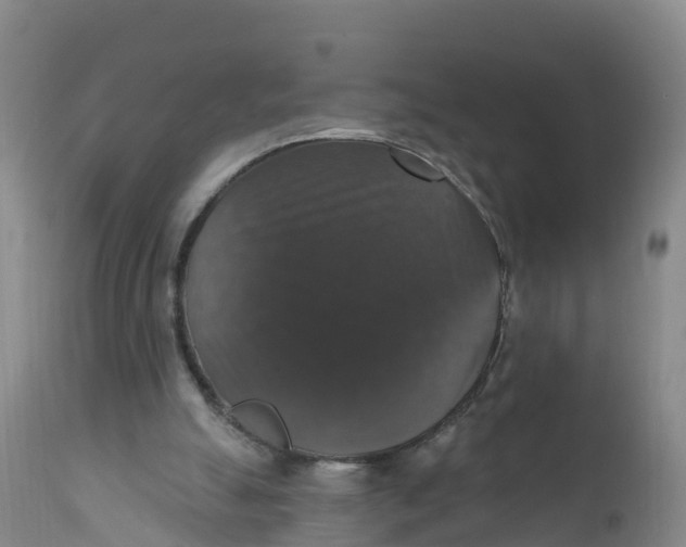 X0000111800055200908131445