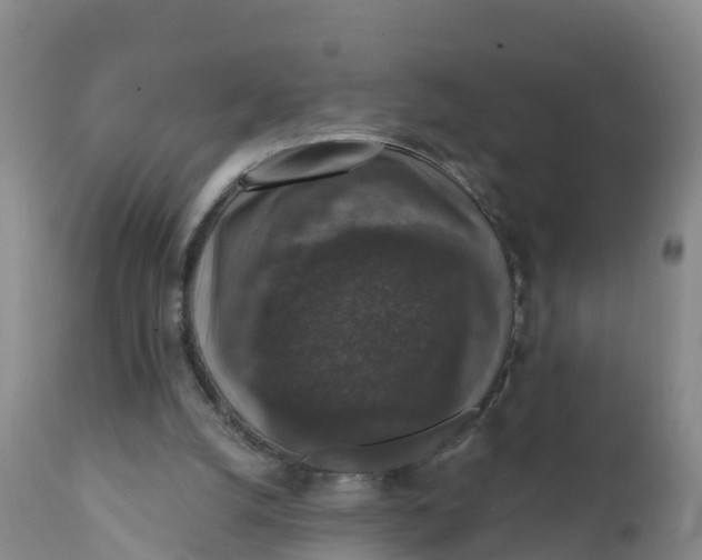 X0000111800056200908131445