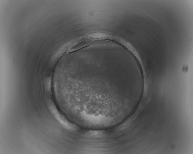 X0000111800057200908131445