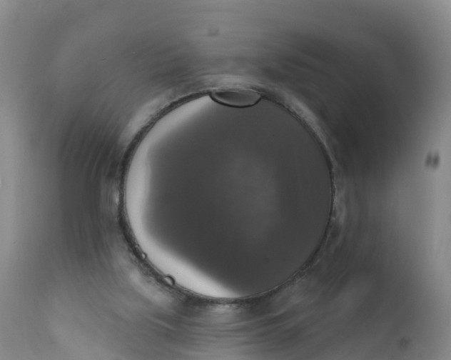 X0000111800059200908131445