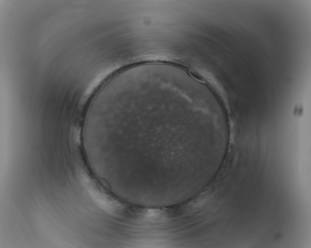 X0000111800060200908131445