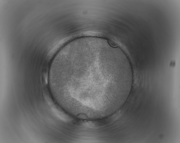 X0000111800062200908131445