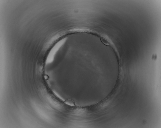 X0000111800063200908131445