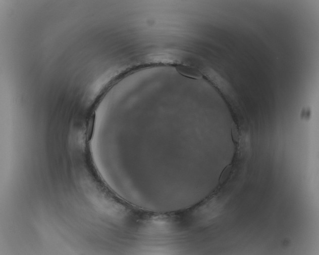 X0000111800064200908131445